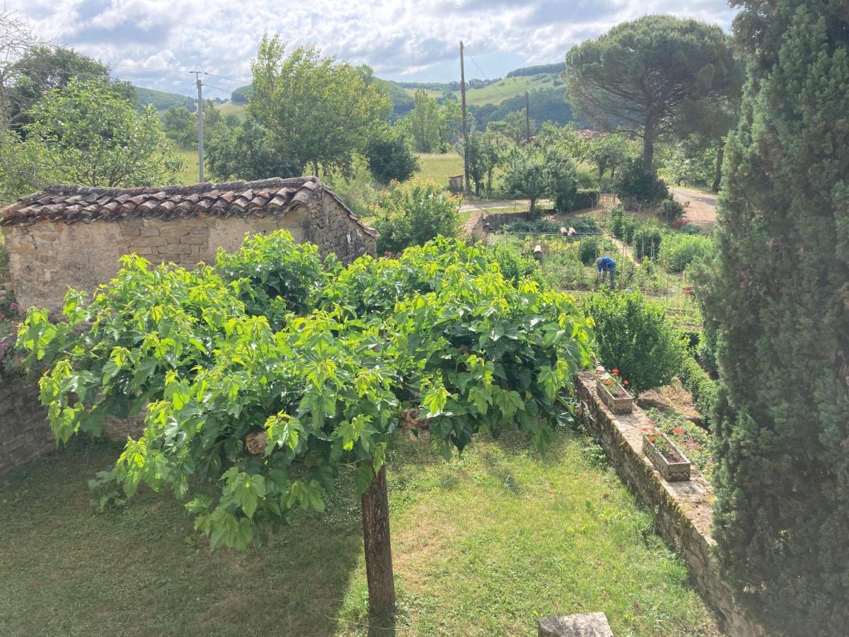La Ferme Du Paradis Verfeil-sur-Seye Dış mekan fotoğraf