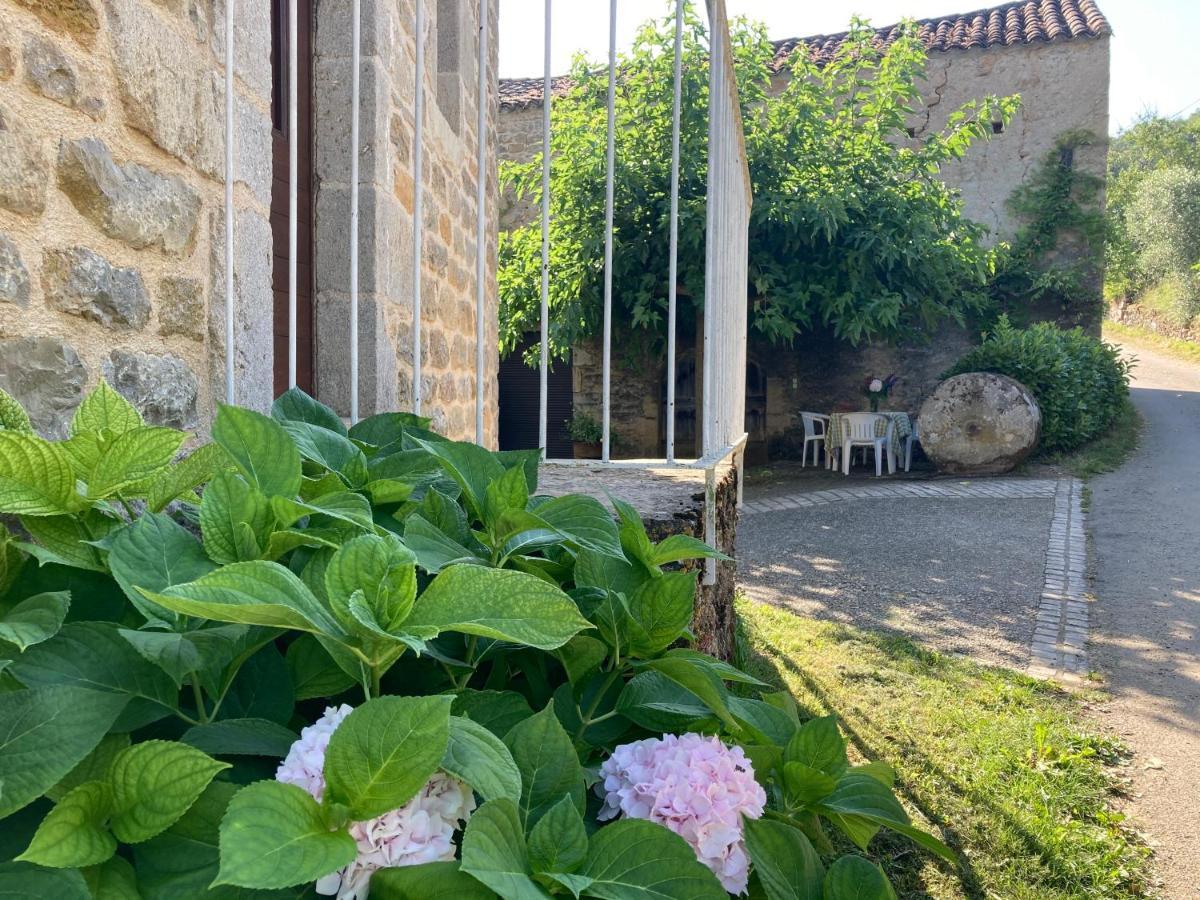 La Ferme Du Paradis Verfeil-sur-Seye Dış mekan fotoğraf